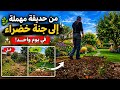 من حديقة مهملة إلى جنة خضراء في يوم واحد  