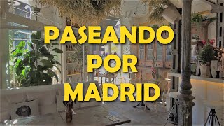 Un día cualquiera en Madrid - (Conocimos el bar "El perro y la Galleta")