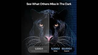 VisionMaster Max vs Premium Projectors Is It Worth Buying