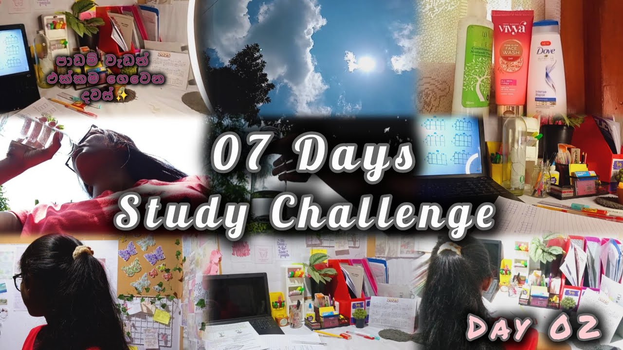 07 Days study challenge Day 02📚📖️|පාඩම් වැඩත් එක්ක ගෙවන දවස්🤗📚|#study # ...