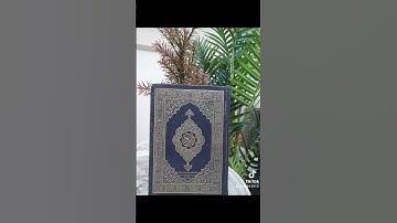 ٣ نوفمبر ٢٠٢٢تلاوة خاشعة الشيخ محمد المحيسني