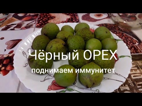 ЧЕРНЫЙ ОРЕХ 🍸 Настойка из ореха  Лечит Все!