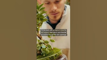 Turn Old Picture Frames into Chic Succulent Planters