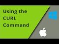 Testing APIs with the cURL Command