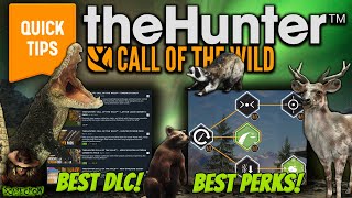 The Best Tips & Tricks Guide For New Players In The Hunter Call of the wild 2023