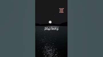 سَيُهْزَمُ الْجَمْعُ وَيُوَلُّونَ الدُّبُرَ (45) الشيخ محمد صديق المنشاوي 🎧 سورة القمر