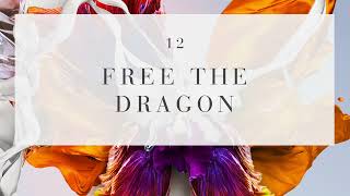 12. Schiller - Free The Dragon (Epic 2021) FHD Dolby TrueHD Atmos 8 24/48 DTS-HD MA 6 LPCM 2 [Audio]