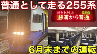 【6月末まで】255系による普通列車が新設されました！