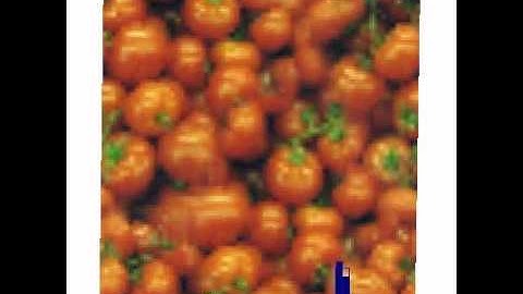 Texture Optimization - Tomatoes - No clustering