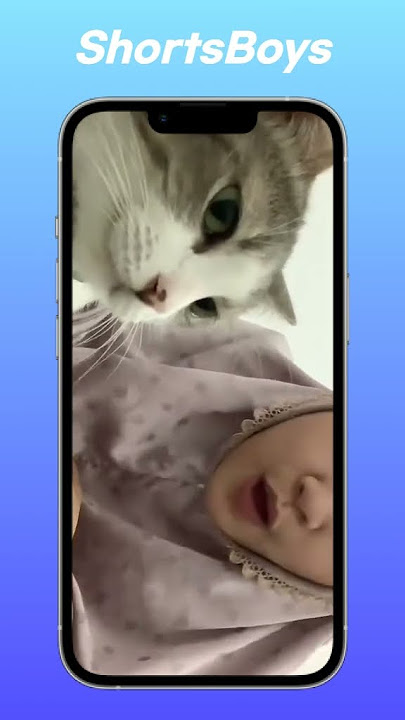 Ma Boy newjazz remix by J Way #shortvideo