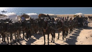 Mulos por las Playas de Lepe, El terrón La Antilla Nueva Umbría Por los Terrenos del Caballo