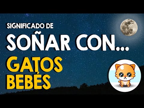 🐱 ¿Qué significa soñar con gatos bebés? - Gatos chiquitos en tus sueños 🐱