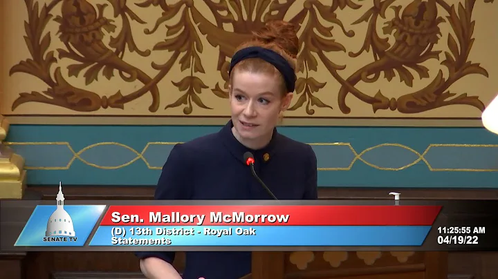 WATCH: Michigan lawmaker says, We will not let hat...