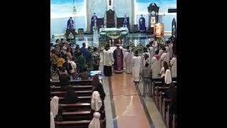 Jikalau Gandum (Cover  Sr.Eva.SFD ) Slamat jalan Bapa Uskup kami   Mgr.Anicetus B.Sinaga.OFM Cap