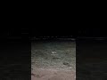 وحياتنا هي ان نكون كما نريد الشاعر محمود درويش بدون موسيقى حالات واتس اب