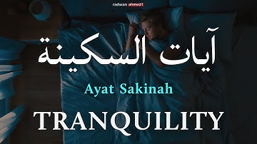 آيات السكينة لدفع القلق والهموم🌿🥺| احمد النفيس - عبدالرحمن مسعد | AYAT OF SAKINAH - TRANQUILITY.