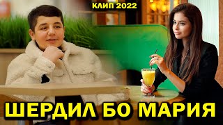 Шердил Бо Мария. Клип 2022 Хит Бомба