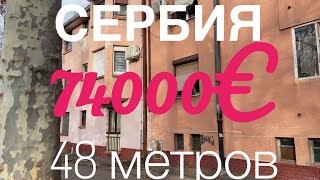 ШОК  ЦЕНА НА НЕДВИЖИМОСТЬ В СЕРБИИ // НОВИ САД