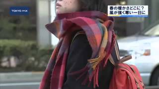 きょうは啓蟄ですが...　風が強く寒さが厳しい一日に