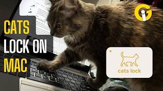 Macbook Won’t Be Typing Gibberish Now If Your Cats Walk Over It