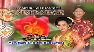 Hari K  feat Sri Handayani  - Pertingsing  - Adi Laras Vol 01