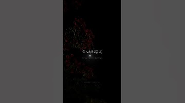 تلاوة هادئة للمنشاوي تريح القلب #القرآن_الكريم #المنشاوي #تلاوات