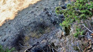 Domuz Avında Bek Yerinin Önemi / Neredeyse Karemalara Çarpacaktı / Wild Boar Hunting