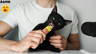 Cat eating Creamy Treats ASMR