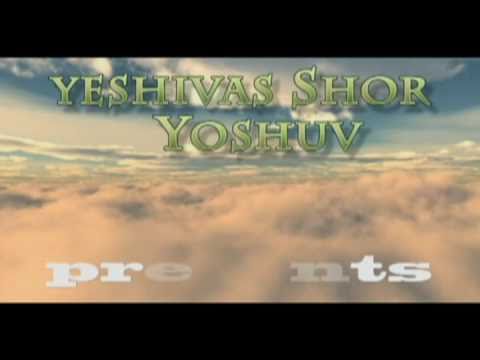 Sh'or Yoshuv Purim Video 2010