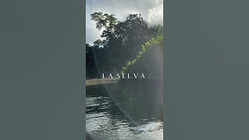 Thumbnail of Your ancestors are always with you. Song: Cuatro Vientos by Danit #Shorts #ancestors #spirituality