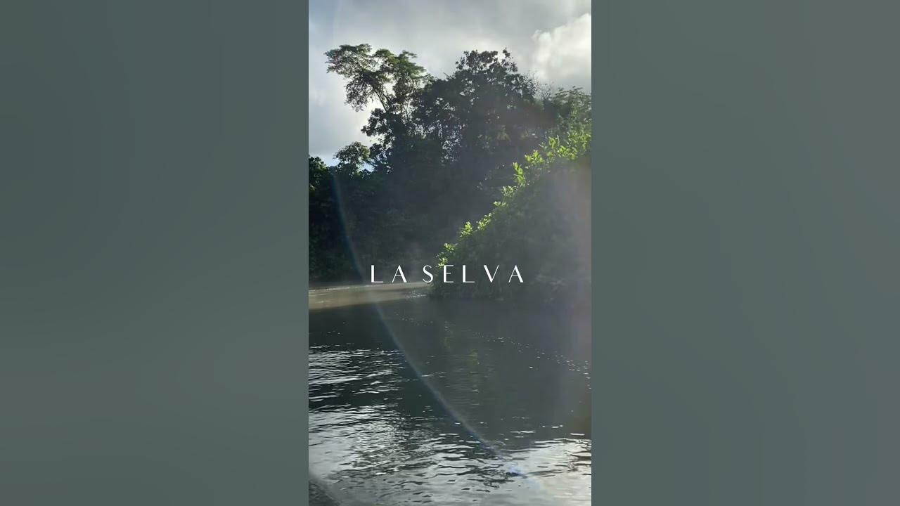 Your ancestors are always with you. Song: Cuatro Vientos by Danit #Shorts #ancestors #spirituality