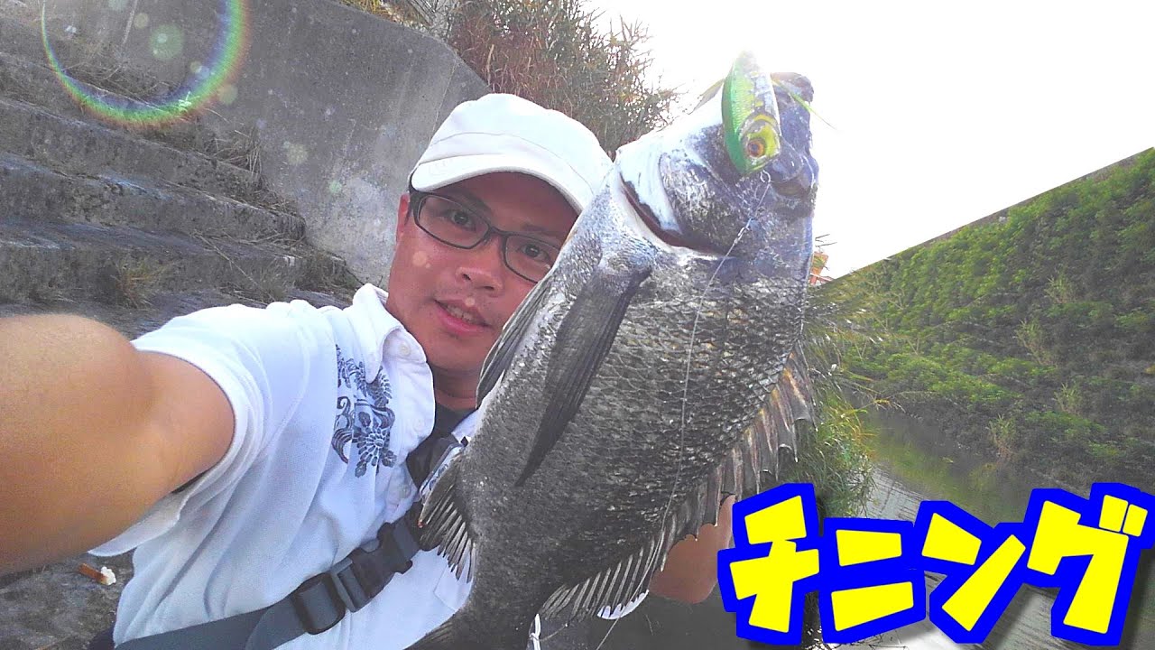 パワーイソメをセットするオススメジグヘッドがコチラ Youtube