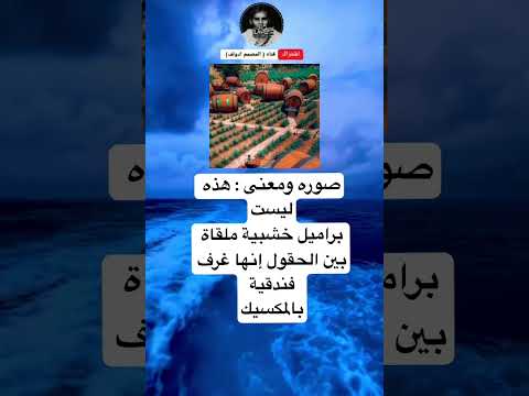 صوره ومعنى هذه ليست براميل خشبية ملقاة بين الحقول إنها غرف فندقيةبالمكسيك