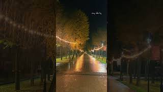 Чарующая, невероятная, задумчивая, притягательная, золотая осень, дарит покой разума, духа, тела🙏☺️