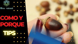 Perforacion De Bellotas Como Y Con Que