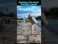 Ranking Best Perfect Launch #funny #funnyvideo #perfect #usa