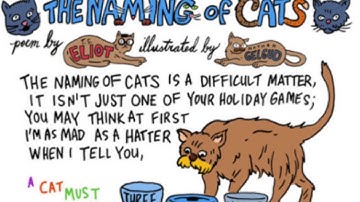 THE NAMING OF CATS - song from the poem by T.S. Eliot (Original Music)