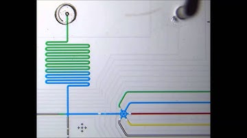 Microfluidic device for DNA amplification of single cancer cells isolated from whole blood by...