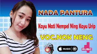 Kayu Mati Nempel Ning Kayu Urip // VOCAL NOK NENG // NADA PANTURA