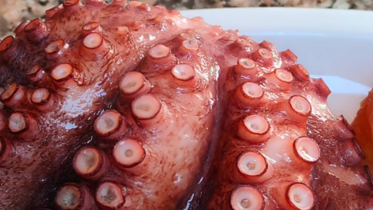 COMO SE COCINA EL PULPO SIN AGUA?EN 8 MINUTOS