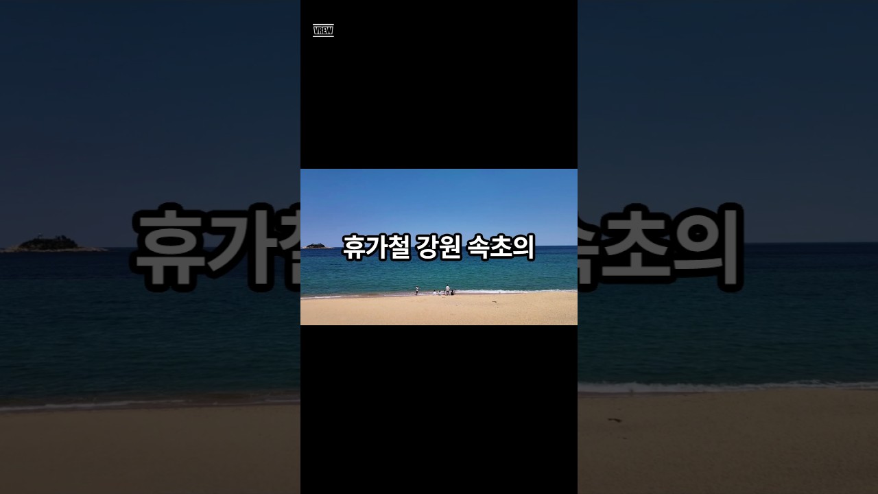 휴가철 강원 속초의 한 ‘오징어 난전’에서 불친절 논란  #shorts #TravelVlog