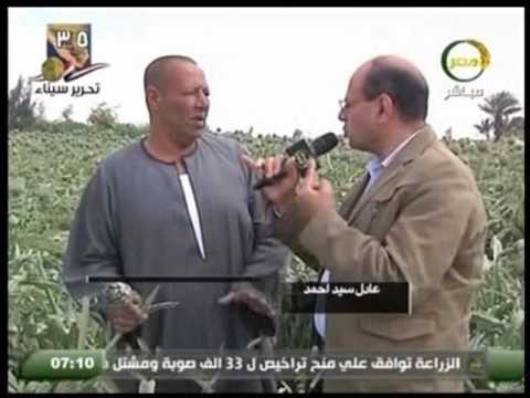 مصر الزراعية كاميرا الارض ترصد تجربة ناجحة فى قرية 27 التابعة لمراقبة استصلاح الحمام ومطروح