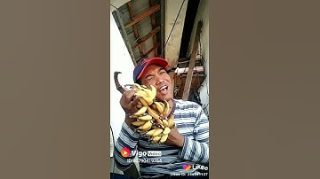 Goro-goro gedang