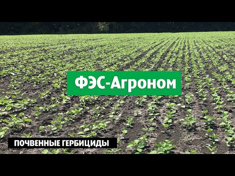 Video: Гербицид деген эмне?