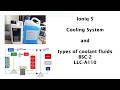 Ioniq 5 two cooling systems and antifreeze types blue BSC-2 and pink LLC-A110
