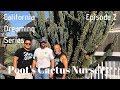 VLOG04 - California Cactus Dream Series - Ep. 02 - Awesome day at Poot&#39;s Cactus Nursery