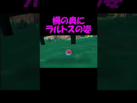 恋愛 モテモテなポケモンランキング リア充系ポケモン ピカチュウ コダック リザードン ハスブレロ バタフリー ホルビー など Mp3