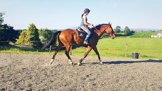 Riding Alfie With No Bridle [ First Time]