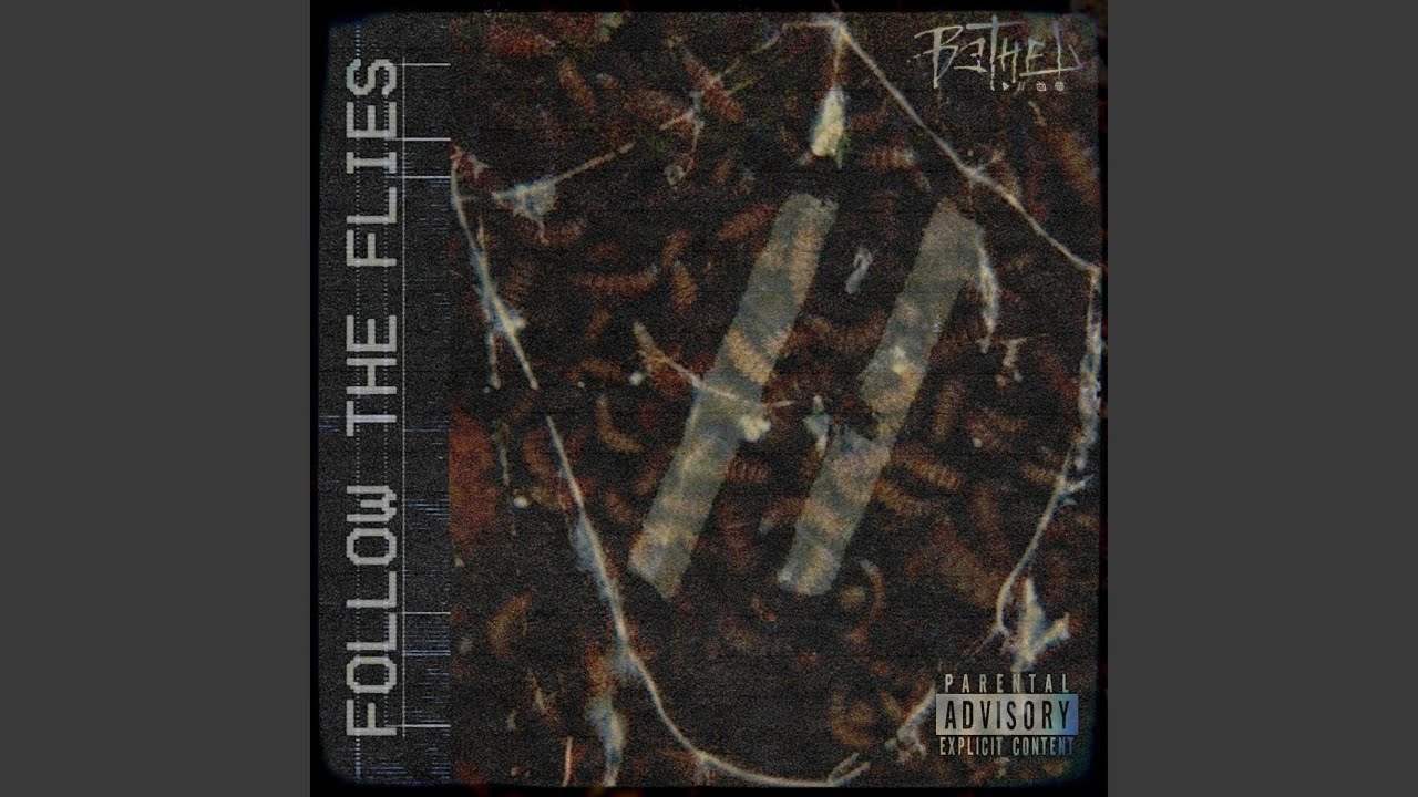 Bethel - follow the flies | Core Community