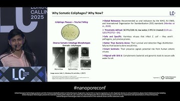 Mapping coliphage diversity for next-generation drinking water security through the nanopore lens